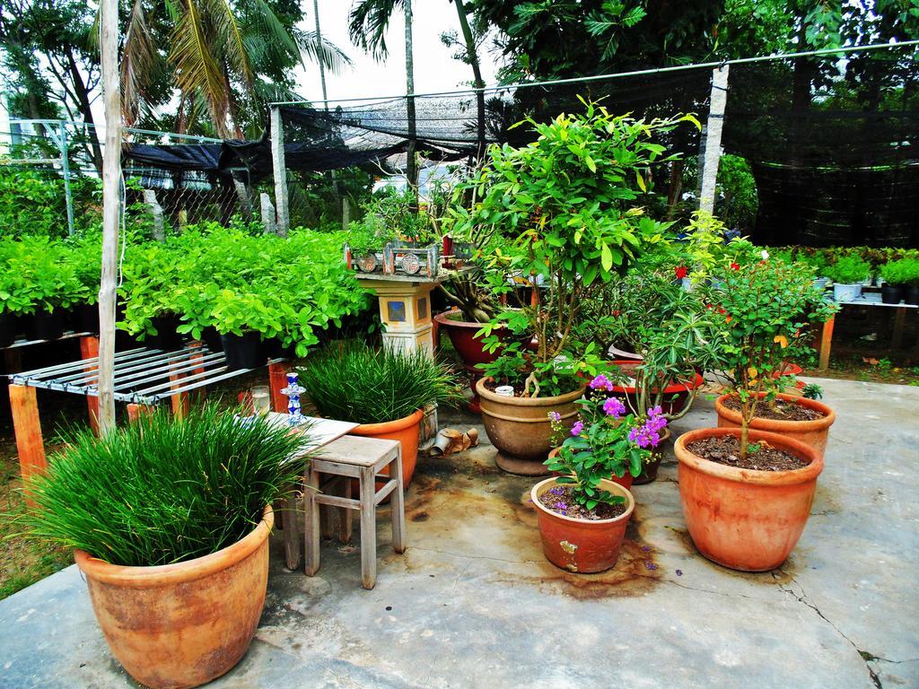 Flower & Frog Homestay Sa Dec Exteriér fotografie